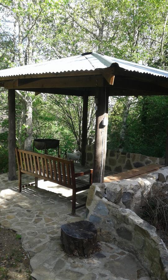 Maple Grove Chalet Hogsback